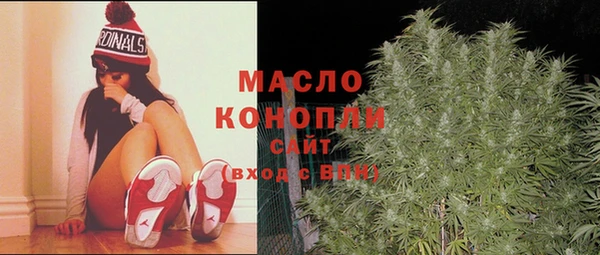 стафф Медногорск