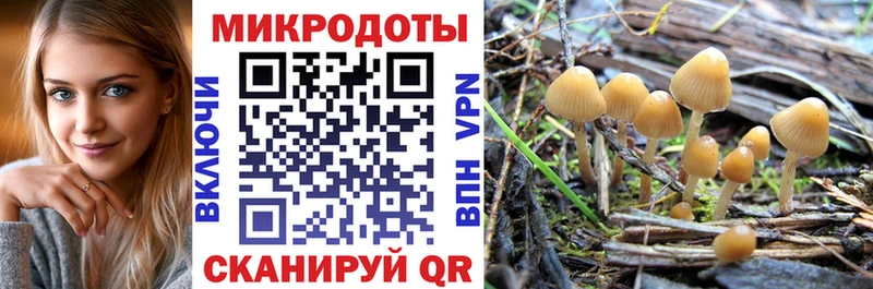 Галлюциногенные грибы Psilocybe  Красноперекопск 